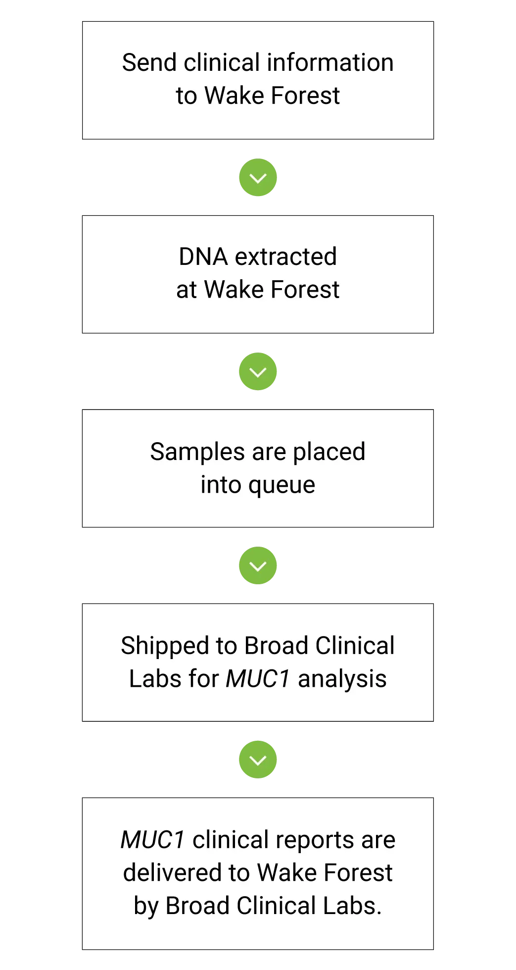graphic-muc1-workflow-providers-v3-m